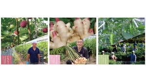 "和歌山さん"はパワーサラダが無料　生産者応援企画実施　HIGH FIVE SALAD