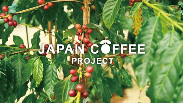 "国産コーヒーの木"のオーナー募集開始　岡山でコーヒー栽培　やまこうファーム