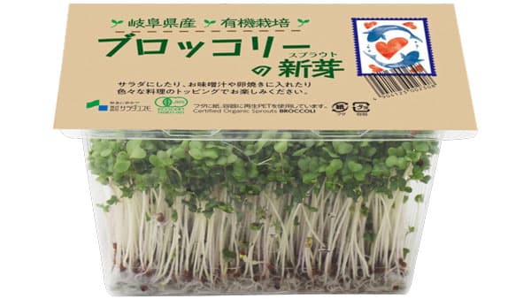 「有機スプラウト」環境にも人にも優しくリニューアル　サラダコスモ