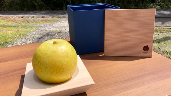 奈良県プレミアムセレクト認定「プレミアム20世紀梨」先行予約販売開始