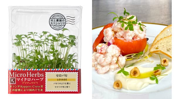 「マイクロハーブ」シリーズから『セロパセ』新発売　村上農園