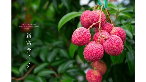 宮崎県新富町産ライチの「ロス果実」からフレグランスアイテム誕生　こゆ財団