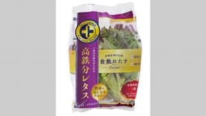 人工光型植物工場で「高鉄分レタス」量産化技術を確立　旭テクノプラント