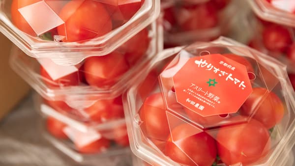 京都から期間限定のプレミアムなフルーツトマト「やりすぎトマト」販売　OYAOYA
