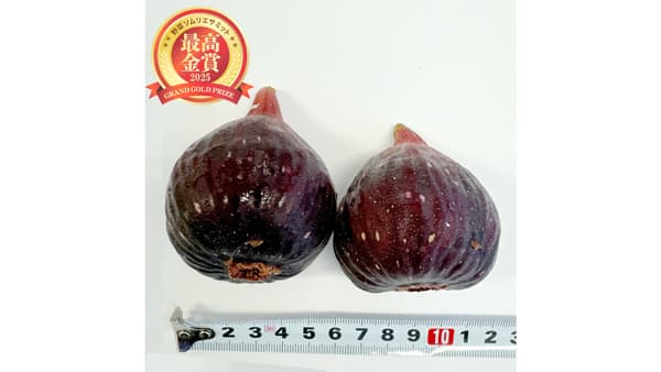 「野菜ソムリエサミット」9月度「青果部門」最高金賞1品など発表　日本野菜ソムリエ協会