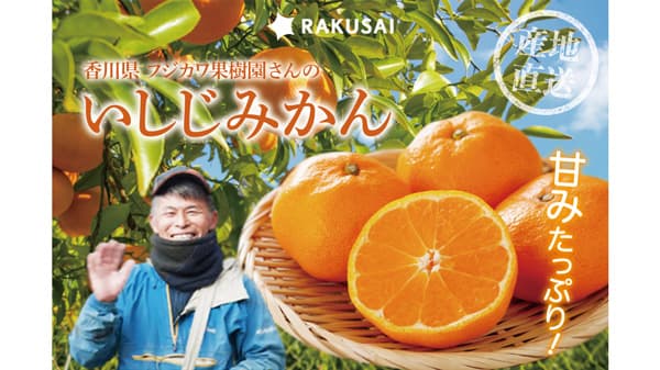 香川県フジカワ果樹園「いしじみかん」予約販売開始　RAKUSAI