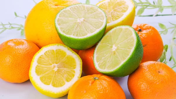 蔵出しみかん特産地　和歌山県海南下津町から直送「みかんのサブスク」リニューアル　藤原農園