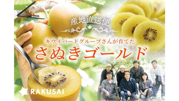 産地直送　香川県産キウイフルーツ「さぬきゴールド」予約販売開始　RAKUSAI