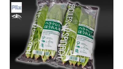 秋田県発　カブトムシのフンを有機肥料に「ヘラクレスベジタブル」発売　Pilz