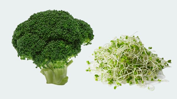 ブロッコリースプラウトに含まれる「スルフォラファン」風邪の症状を抑制する効果を確認