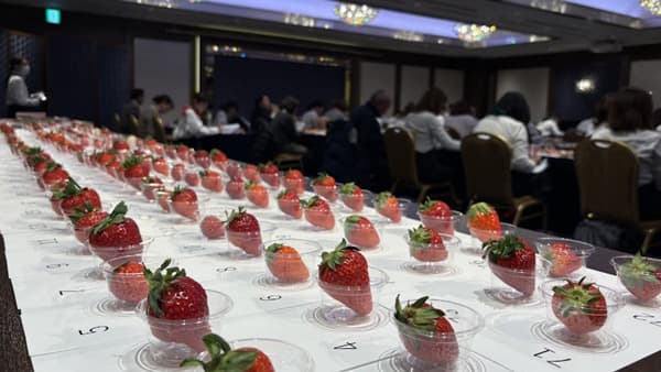 「第4回全国いちご選手権」栃木県真岡市「とちあいか」が最高金賞　日本野菜ソムリエ協会