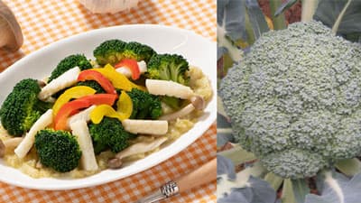 ブロッコリー「菜色美人」使用　ＪＡ埼玉ひびきのコラボメニュー新発売　ファンデリー