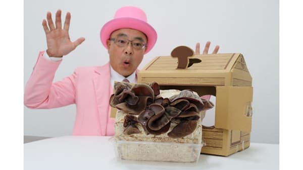 国産きくらげを栽培　宅農商品「おうちきくらげ」発売　全農ビジネスサポート