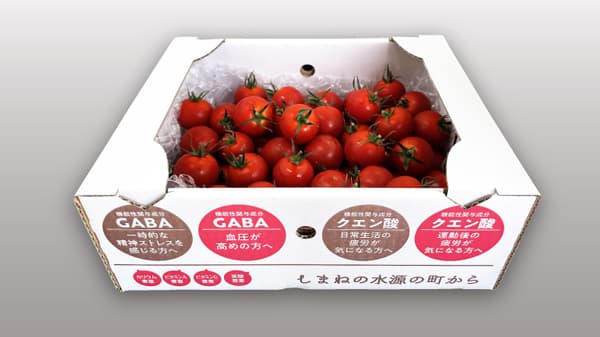 3つの機能性表示食品登録「フルーツトマト」販売開始　よしかファーム