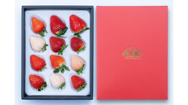 旬のイチゴを「食べ比べ」12種＆5種　予約受付開始　南国フルーツ
