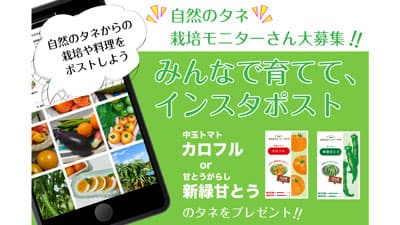 有機栽培・自然農法向け「自然農法センターのタネ」栽培モニターを募集