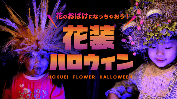 "花装ハロウィン"を町の新しい文化へ　期間限定で開催　ＪＡ鳥取中央大栄花き部会