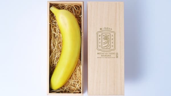 和歌山県産高級バナナ「密の月」使用　クラフトビール開発に成功