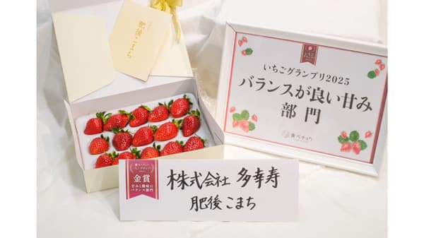 日本トリム　農業用電解水素水整水器を活用　いちご「肥後こまち」販売開始
