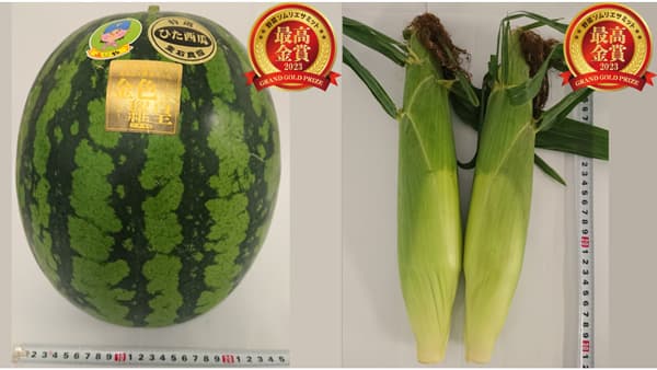 「野菜ソムリエサミット」7月度「青果部門」最高金賞2品など発表　日本野菜ソムリエ協会