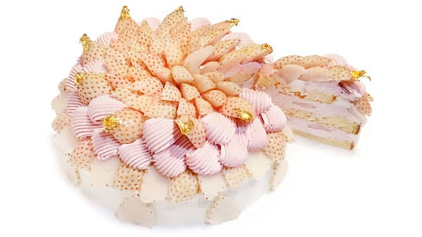 2月は希少な白いちご「ショートケーキ」2日間限定で発売　カフェコムサ