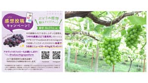 阿波のぶどう農園が「感想投稿キャンペーン」実施中　ニューピオーネをプレゼント