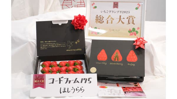 「食べチョクいちごグランプリ2025」総合大賞はコードファーム175「ほしうらら」