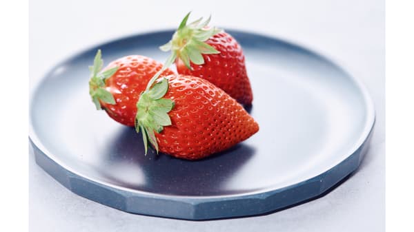 高温環境に強いイチゴ新品種「CULTA-T3L」品種登録出願を公表　CULTA