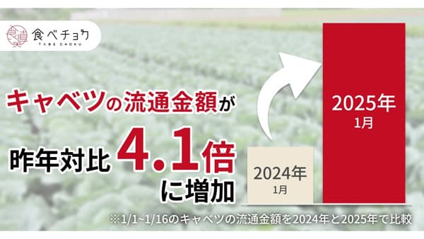 野菜価格高騰で産地直送の野菜を求める人が増加　特集ページ開設　食べチョク
