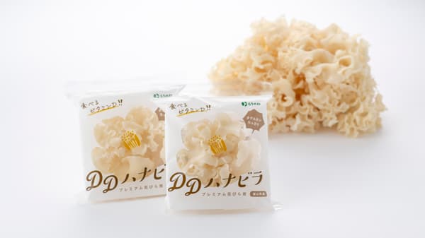 ハナビラタケ「食べるビタミンD」新発売　森の環が商標登録