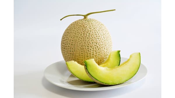 日本一のメロンを堪能「道の駅ごか」でメロンフェア開催中　茨城県五霞町