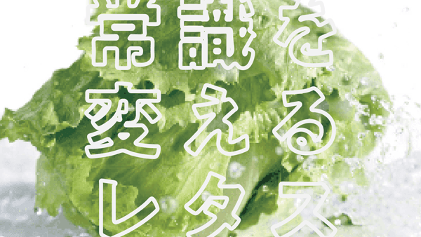 淡路島の「河西レタス」"驚きと感動をお届けプロジェクト"CF実施中　河西青果