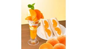 フルーツ直行便に愛媛県産「紅まどんな」のスイーツ登場　銀座コージーコーナー