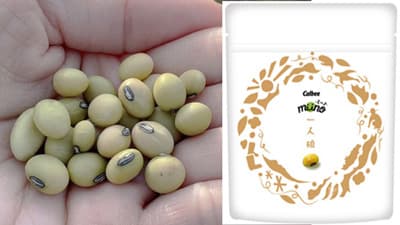 新潟県・粟島の青大豆 「一人娘」使用『miino一人娘 しお味』数量限定で新発売　カルビー