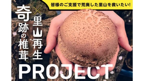 里山再生　岡山のマルハチ原木椎茸　オーナーを募集開始　ネクストイノベーション