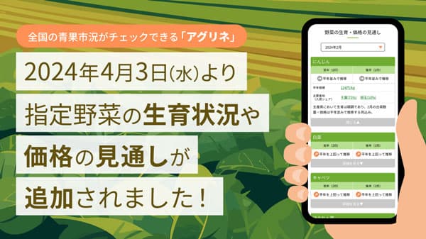 青果の市況価格がわかる「アグリネ」指定野菜の生育状況と価格見通し新コンテンツ追加