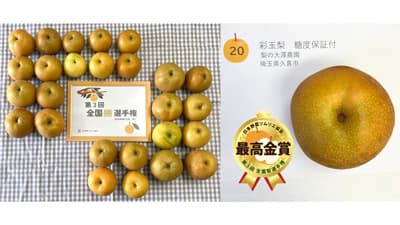 最高金賞は埼玉県久喜市「彩玉梨」第3回全国梨選手権　日本野菜ソムリエ協会