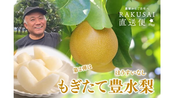 千葉の山﨑梨園「もぎたて豊水梨」RAKUSAI直送便で予約販売開始