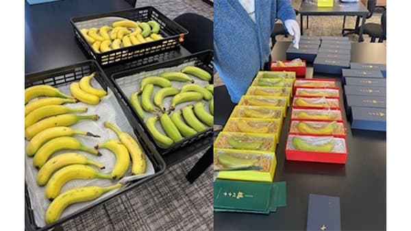 障がい者が丹精して育てた「福バナナ」好評販売中　大阪府高槻市