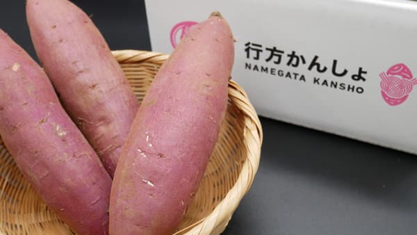 GI登録記念「行方かんしょ」数量限定販売キャンペーン実施中「なめがたさんちの特選マルシェ」