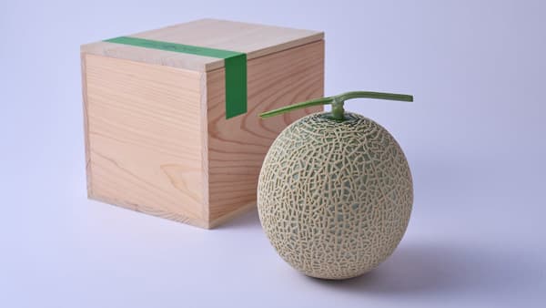 高知が誇る最高級メロン「IRODORI（彩り）」デビュー　近澤メロンランド