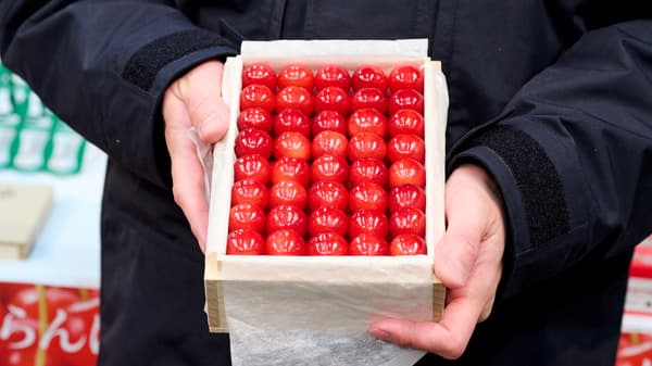 山形県産さくらんぼ「佐藤錦」初競りで過去最高値180万円で落札　船昌