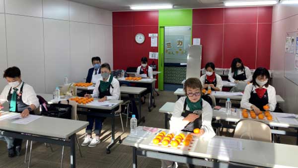 最もおいしいみかんの決定戦「第2回全国みかん選手権」開催　日本野菜ソムリエ協会