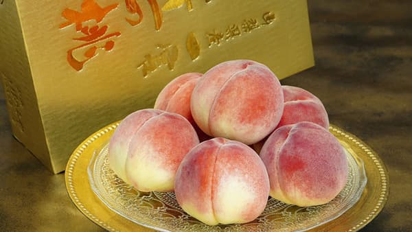ＪＡふえふき　透過式センサー糖度18度で選果「匠の桃」販売開始　食文化
