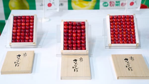 大田市場初競り　山形県産さくらんぼ「佐藤錦」過去最高値150万円で落札　船昌