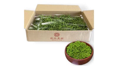 国産山椒の取り扱い拡大「奈良朝倉山椒」新発売　カネカサンスパイス