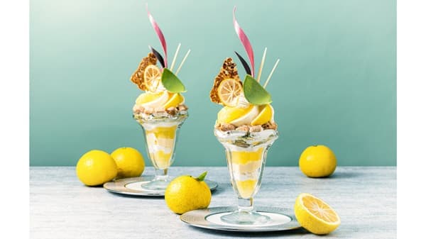 「伊豆産ニューサマーオレンジパフェ」期間限定で販売　伊豆今井浜東急ホテル