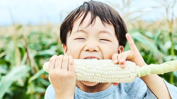 ロックファーム京都「とうもろこし狩り体験メニュー」提供開始