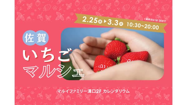 佐賀県から旬のブランドいちご8銘柄が集結「佐賀いちごマルシェ」開催