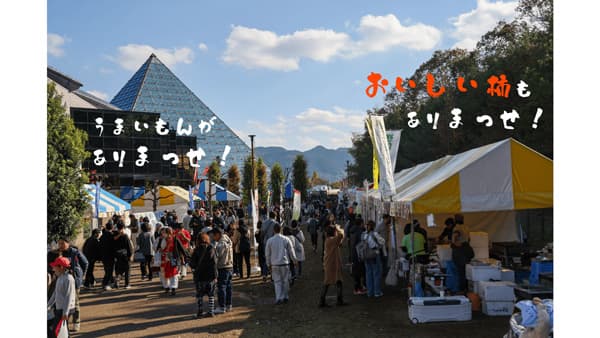 和歌山県橋本市「第18回まっせ・はしもと～柿まつり2024」開催